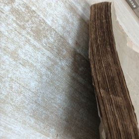 音乐的解放者悲多汶