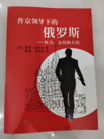 普京领导下的俄罗斯：权力、金钱和人民