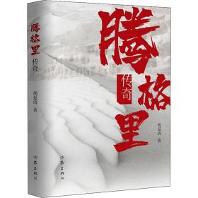 腾格里传奇 杂文 胡延清 新华正版