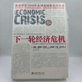 下一轮经济危机