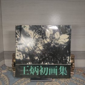 王炳初画集（签印本）