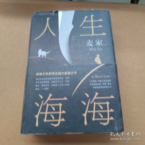 麦家：人生海海（茅盾文学奖得主麦家2019年强力之作）