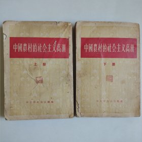 中国农村的社会主义高潮（上、下） 2册合售