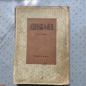 法国短篇小说选