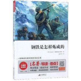 钢铁是怎样炼成的 七年级 无障碍阅读+中考考点 统编语文教材指定阅读丛书