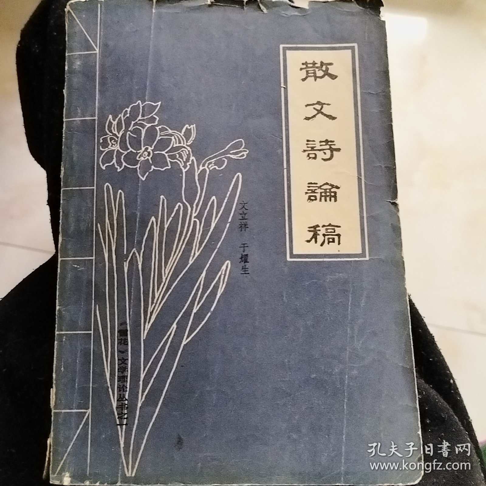 散文诗论稿