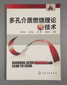 多孔介质燃烧理论与技术