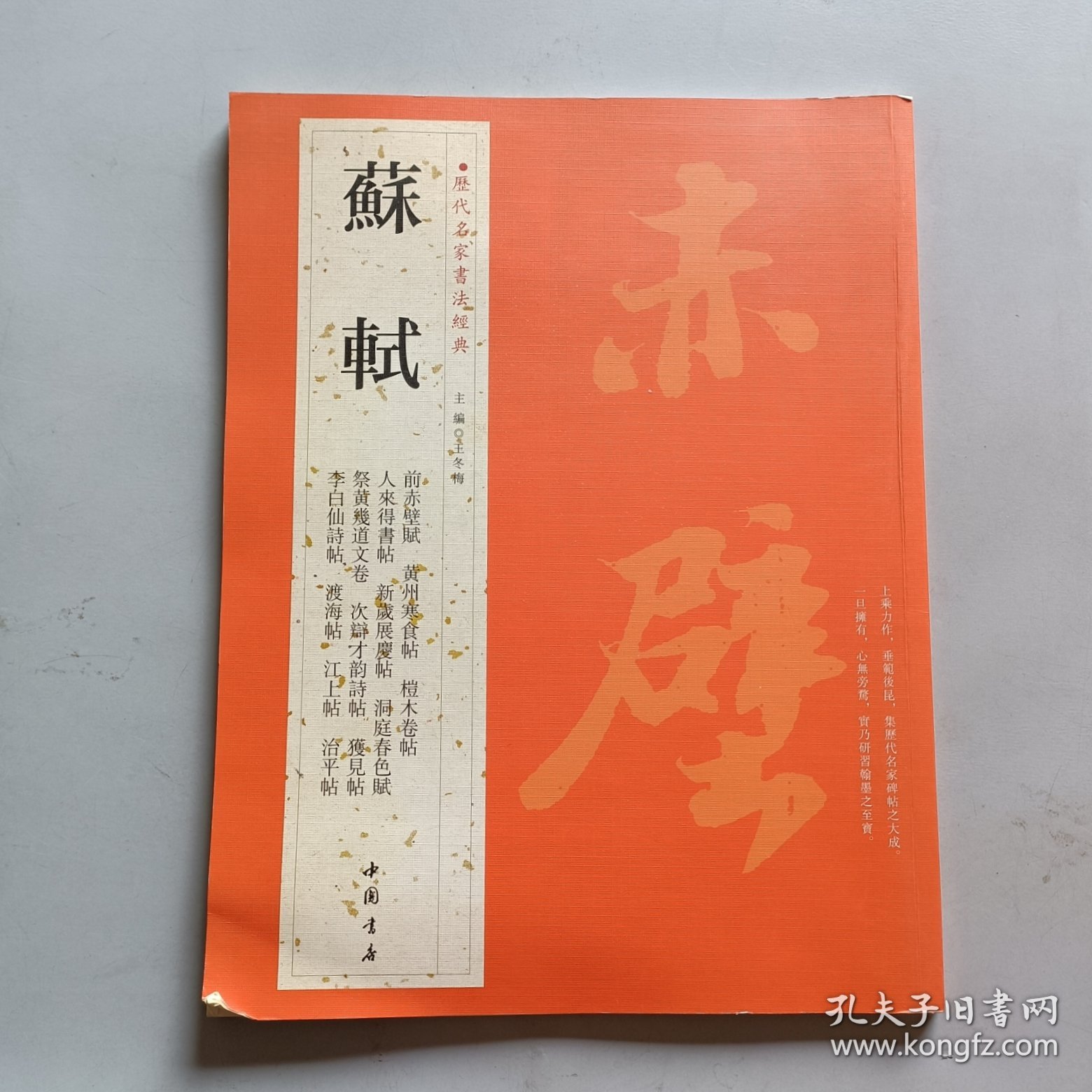 历代名家书法经典：苏轼