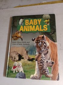 BABY ANIMALS