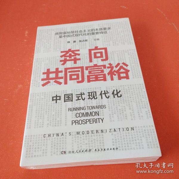 奔向共同富裕（读懂共同富裕，看清未来中国！深入浅出，雅俗共赏，两大TOP级智库联袂巨献，通俗理论重磅大作！）