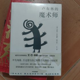 卢布林的魔术师