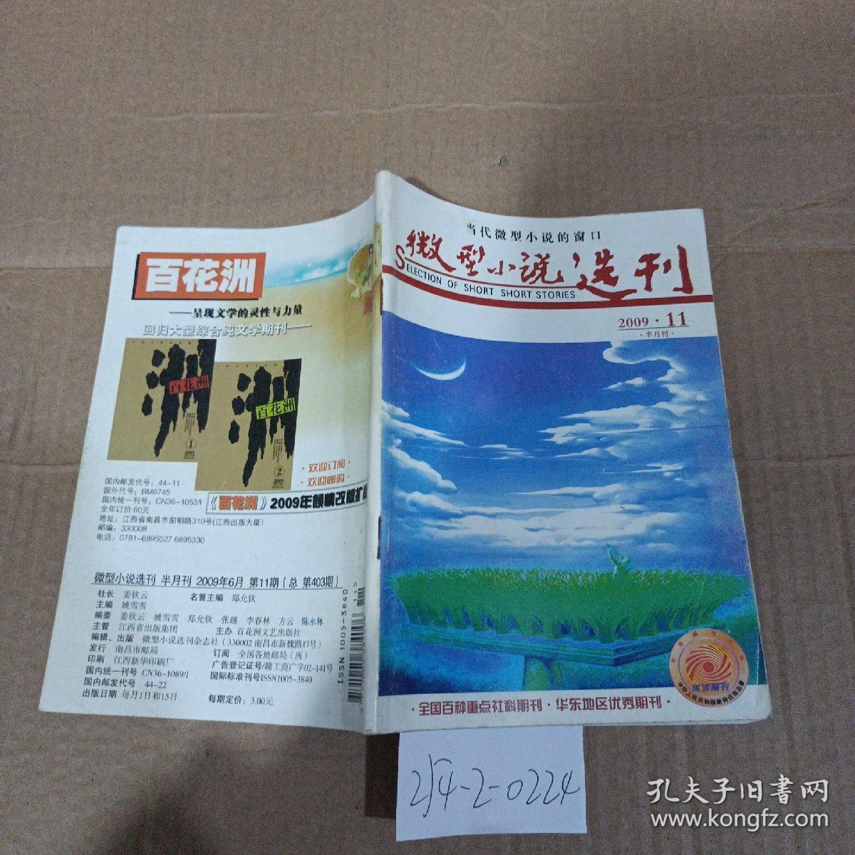 微型小说选刊2009年第11期