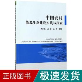 中国农村能源生态建设实践与探索 环境科学 王久臣,方放,王飞 主编 新华正版