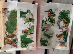 寿光县文化馆供稿，张宝元画。珍禽图二张一套品好。（一）77/54