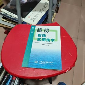 堤防抢险实用技术——水利科技减灾系列丛书