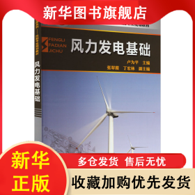 風(fēng)力發(fā)電基礎(chǔ) 盧為平 9787122101310 化學(xué)工業(yè)出版社