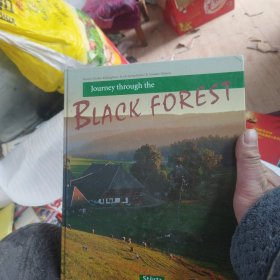 Journey through the BLACK FOREST【看图】