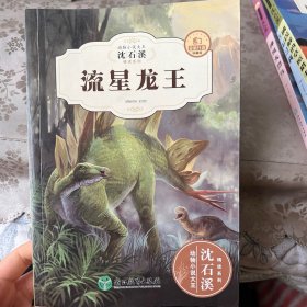 流星龙王（全新升级珍藏版）/动物小说大王沈石溪精读系列