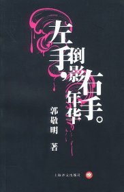左手倒影,右手年华