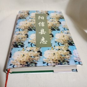 阳信县志PDC335---精装16开9品，95年1版1印