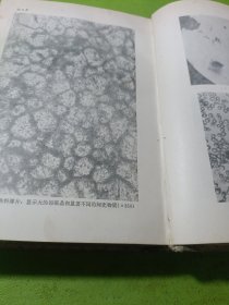 水泥和混凝土化学(第三版)如图现货速发