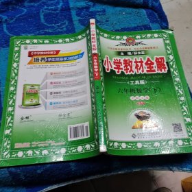 金星教育全解丛书·小学教材全解：6年级数学（下）（北京师大版）（工具版）