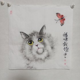 猫咪戏蝶