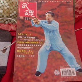 武魂2007.11 不缺页 钉绣九宫十八手上 武派太极拳三十六枪中