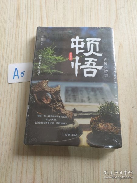 顿悟：洒脱的智慧