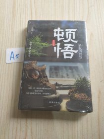 顿悟：洒脱的智慧