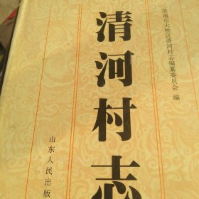 清河村志