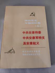 陕西党史专题资料集五