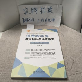 消费税实务政策解析与操作指南