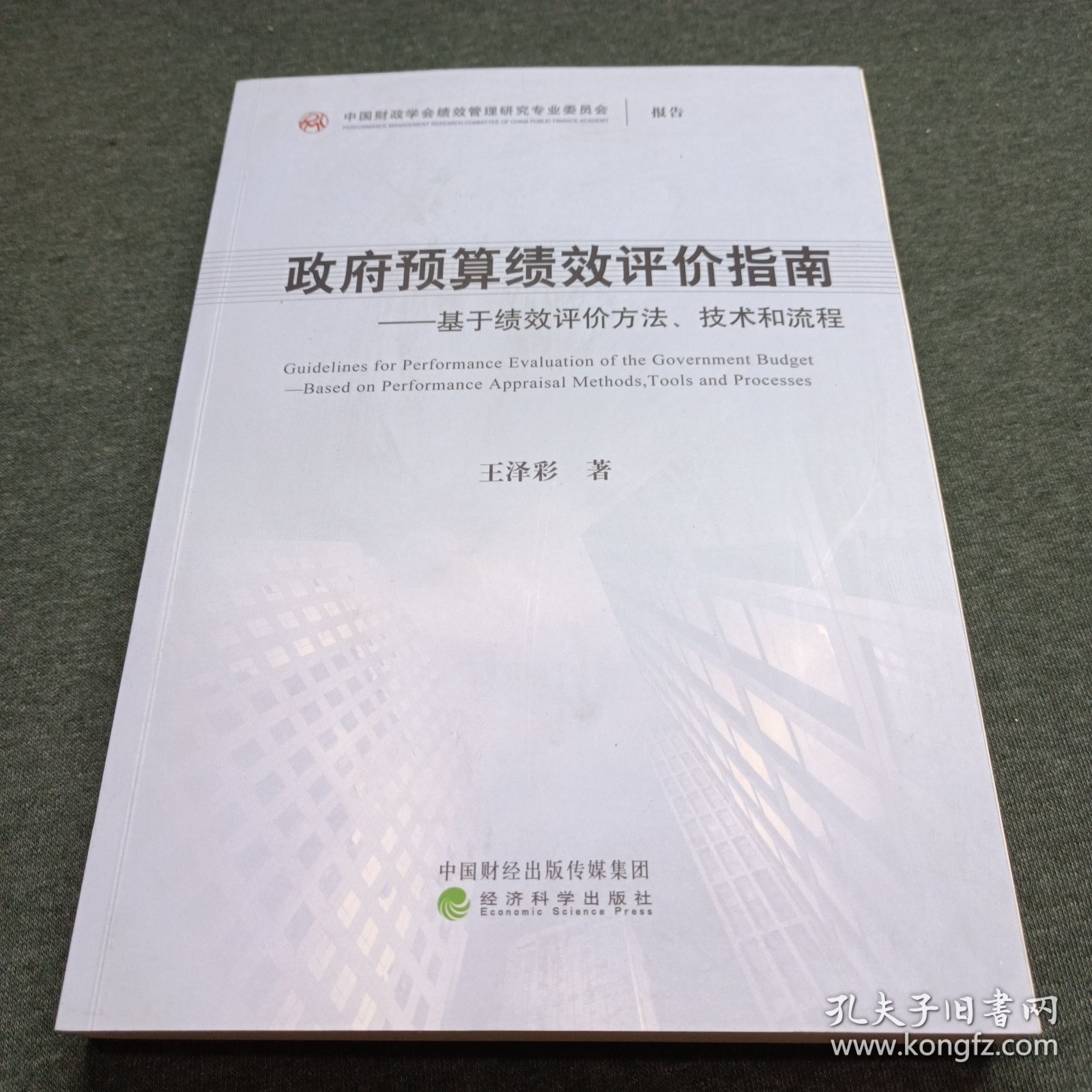 政府预算绩效评价指南——基于绩效评价方法、工具和流程