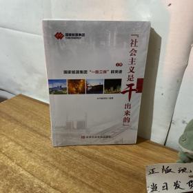 社会主义是干出来的-国家能源集团 【一防三保 】群英谱 上下册