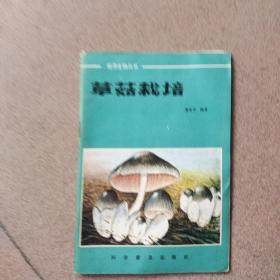 草菇栽培