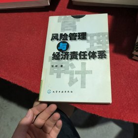 风险管理与经济责任体系