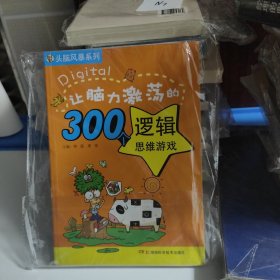 头脑风暴系列：让脑力激荡的300个逻辑思维游戏