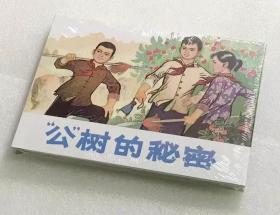 公树的秘密 32开精装