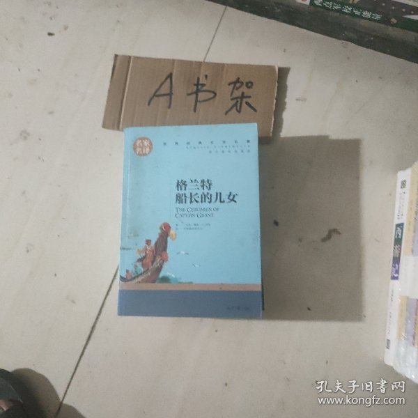 格兰特船长的儿女 中小学生课外阅读书籍世界经典文学名著青少年儿童文学读物故事书名家名译原汁原味读原著