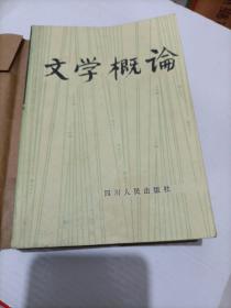 中學(xué)教師進(jìn)修教材：文學(xué)概論【完整不缺】