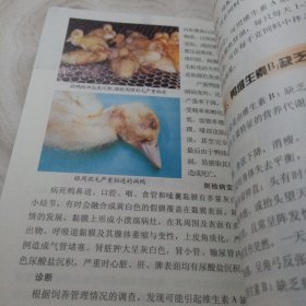 正版实拍：鸭病诊治图谱