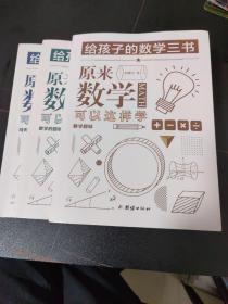 原来数学可以这样学：马先生谈算学数学趣味数学的园地（套装全三册）