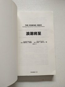 浪潮将至