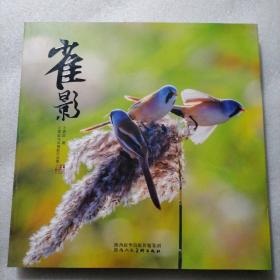 雀影 : 王建国鸟类摄影作品集 164页  铜版纸精美清晰印刷！