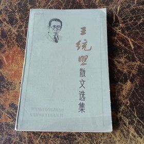 王统照散文选集