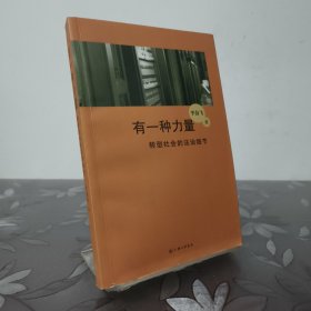 有一种力量：转型社会的法治细节