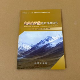 东昆仑西段铁矿部署研究