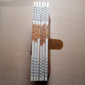 《卫生间》《局部小摆设》《布艺》《家具选择与布置》《客厅》《艺术照明》温馨都市家居丛书【6本合售】