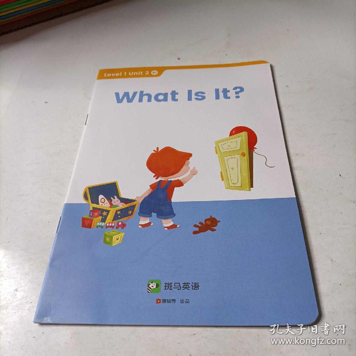 斑马AI课   what  is  it